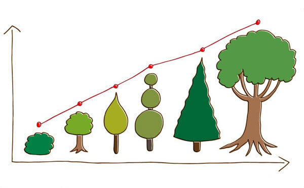 BigChange cutting carbon trees